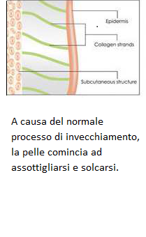 collagene 1