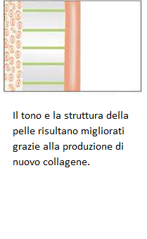 collagene 3